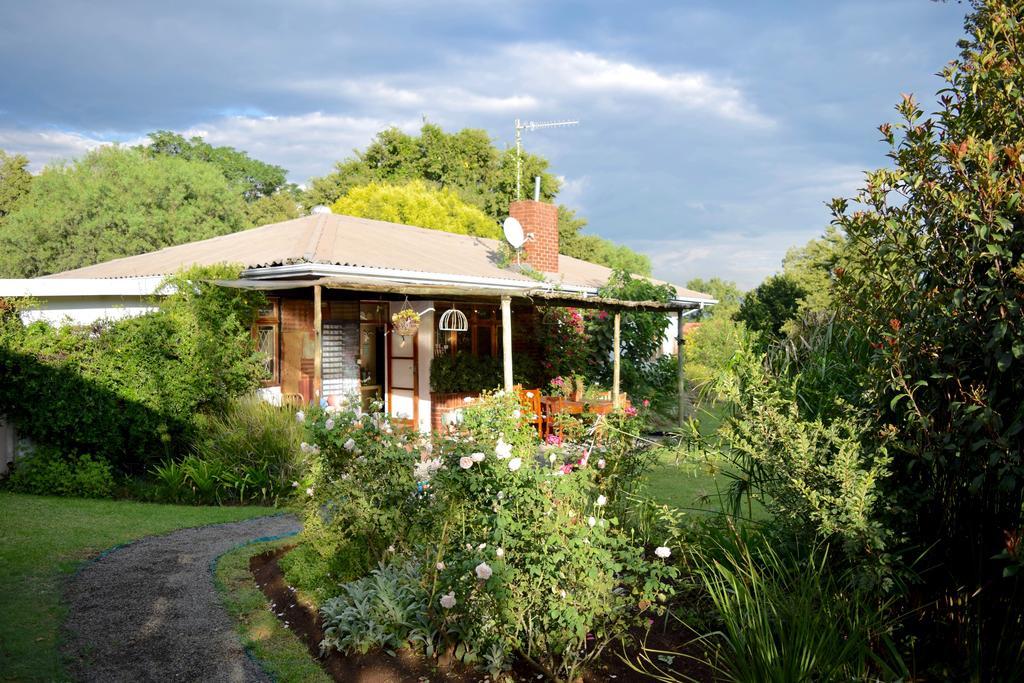 Patterson B&B Newcastle Dış mekan fotoğraf